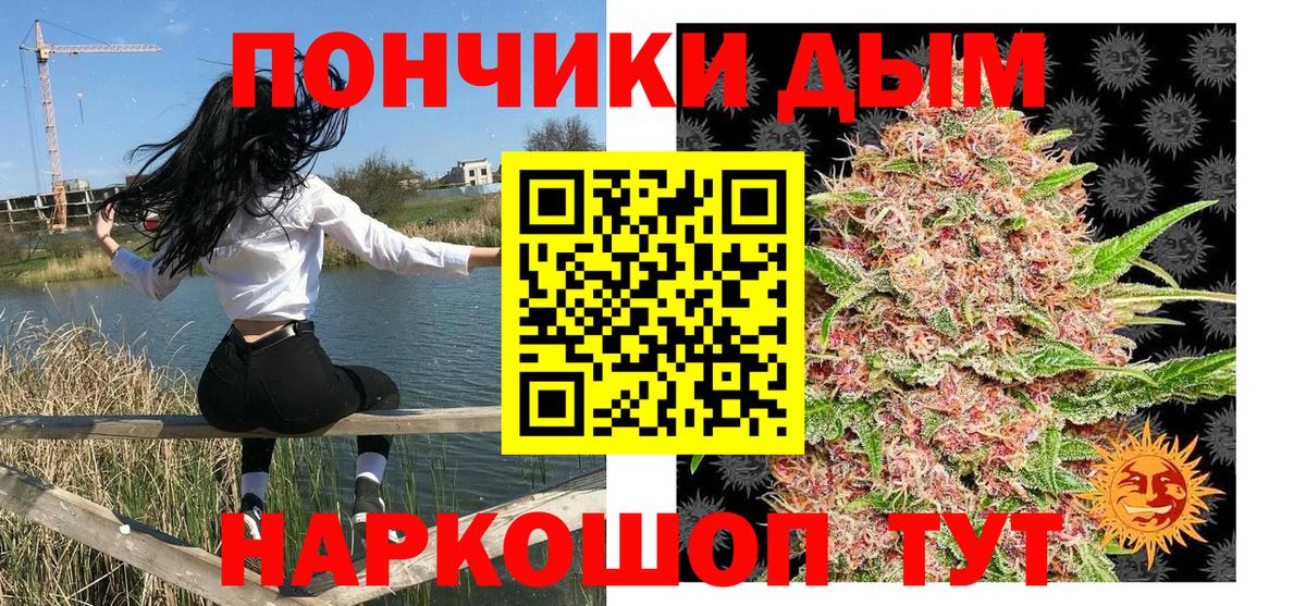 Бошки Шишки план  Конопля марихуана  Янаул  Конопля AK-47  Вход с VPN  Канабис планчик 